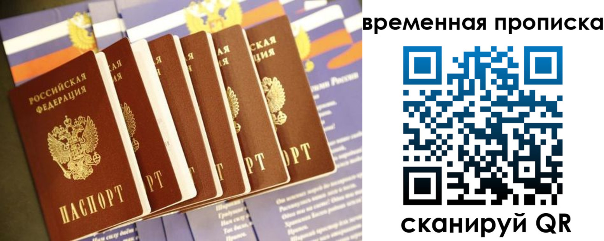 прописка штамп в Волгограде
